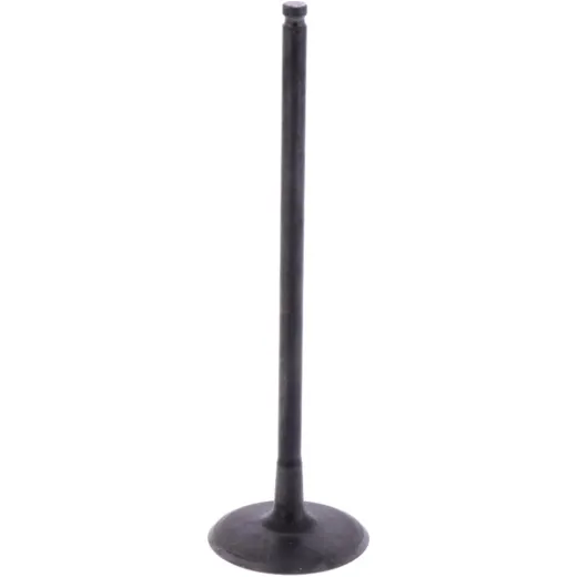 Intake valve (orig spare part) 1009753