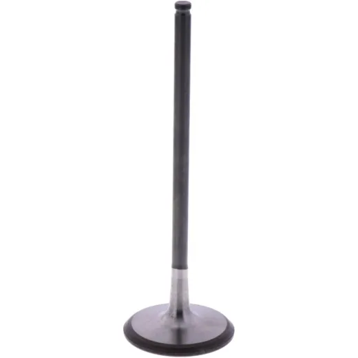 Intake valve (orig spare part) 1009757