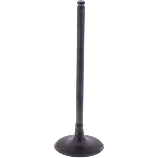 Intake valve (orig spare part) 1009758