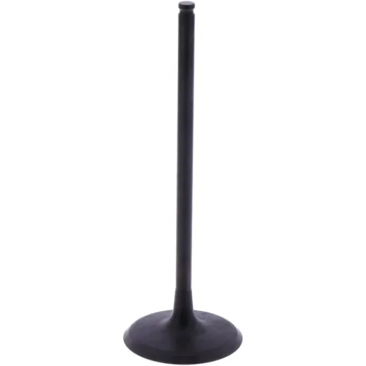 Intake valve (orig spare part) 1009759