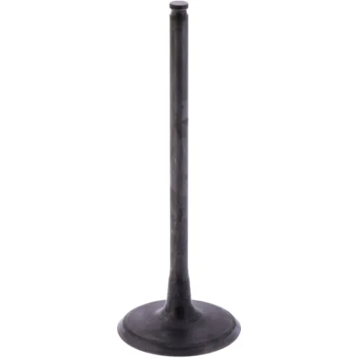 Intake valve (orig spare part) 1009761