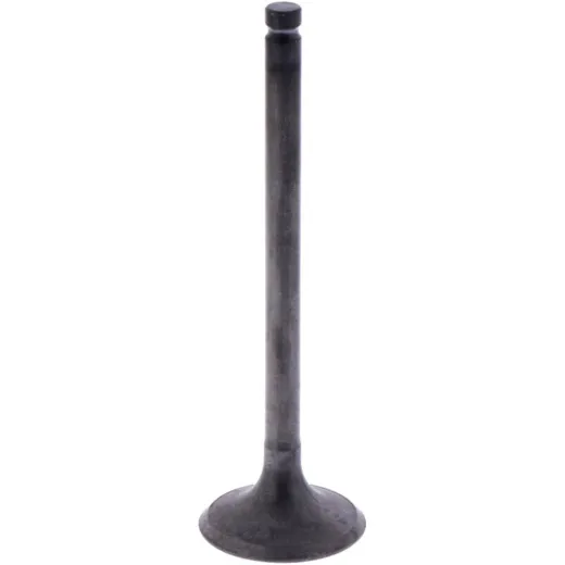 Intake valve (orig spare part) 1009770