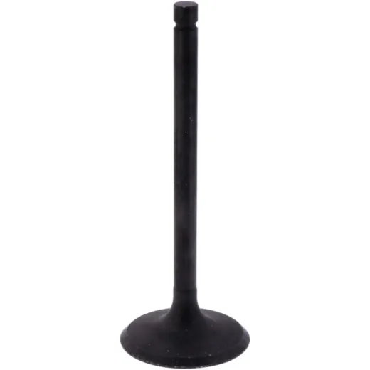 Intake valve (orig spare part) 1009771