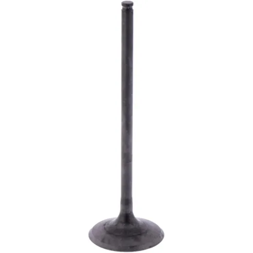 Intake valve (orig spare part) 1009772