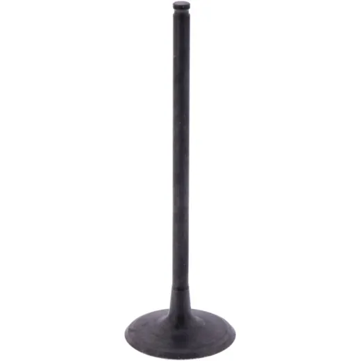 Intake valve (orig spare part) 1009777