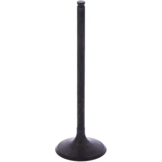 Intake valve (orig spare part) 1009778