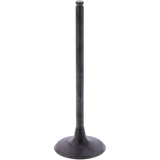 Intake valve (orig spare part) 1009779