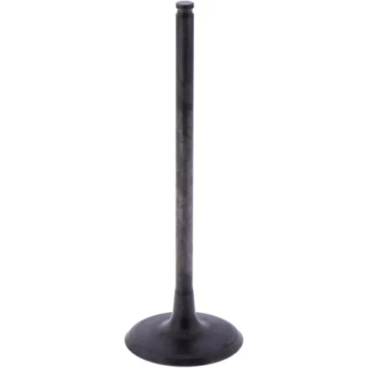 Intake valve (orig spare part) 1009782