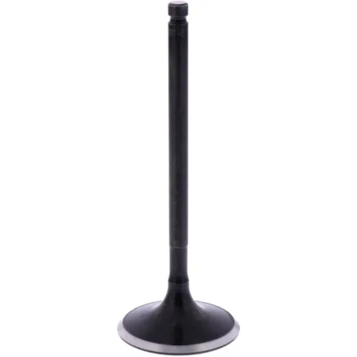 Intake valve (orig spare part) 1013080