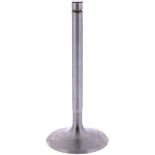 Intake valve (orig spare part) 1013085