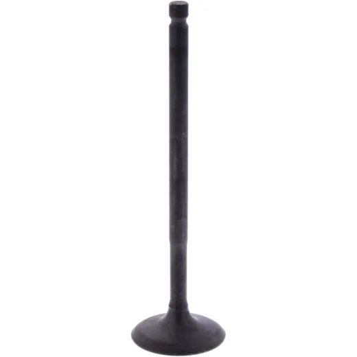 Intake valve (orig spare part) 1013088
