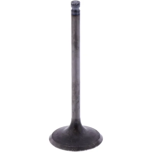 Intake valve (orig spare part) 1013091