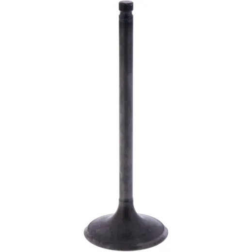 Intake valve (orig spare part) 1013093