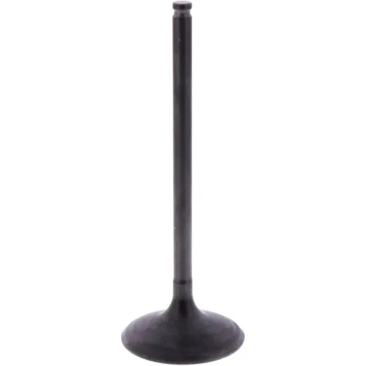 Intake valve (orig spare part) 1013095