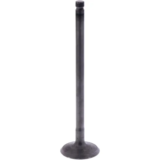 Intake valve (orig spare part) 1013097
