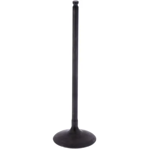 Intake valve (orig spare part) 1013099