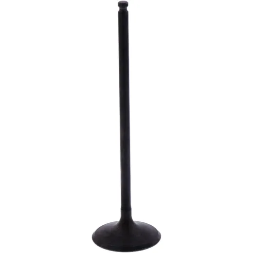 Intake valve (orig spare part) 1013101