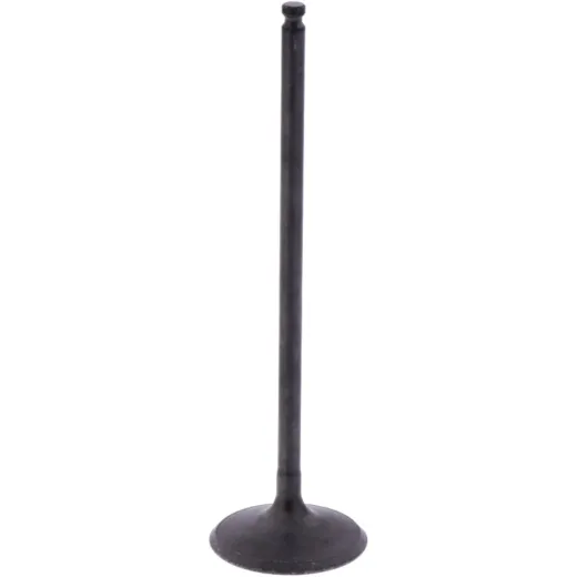 Intake valve (orig spare part) 1013102