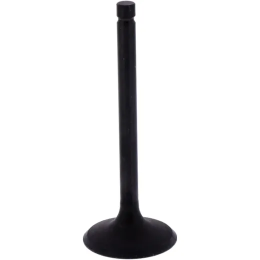 Intake valve (orig spare part) 1013110