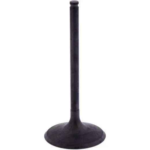 Intake valve (orig spare part) 1013111