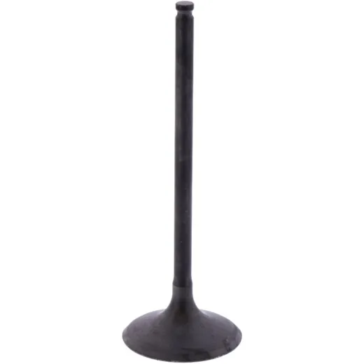Intake valve (orig spare part) 1013112