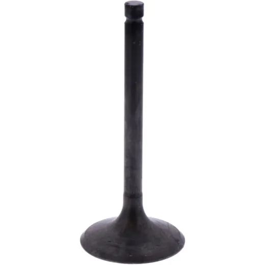 Intake valve (orig spare part) 1013121