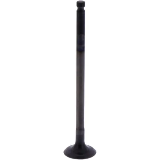Intake valve (orig spare part) 1013133