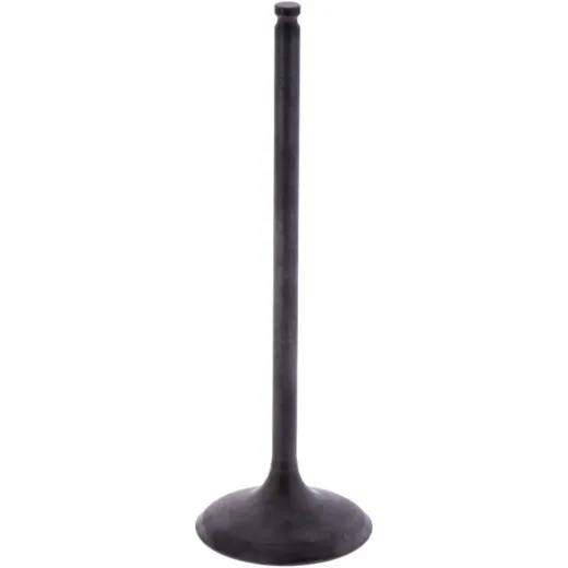 Intake valve (orig spare part) 1013137