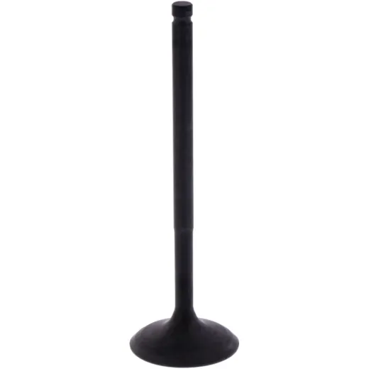 Intake valve (orig spare part) 1013143