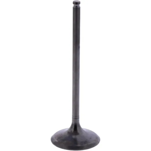 Intake valve (orig spare part) 1013144