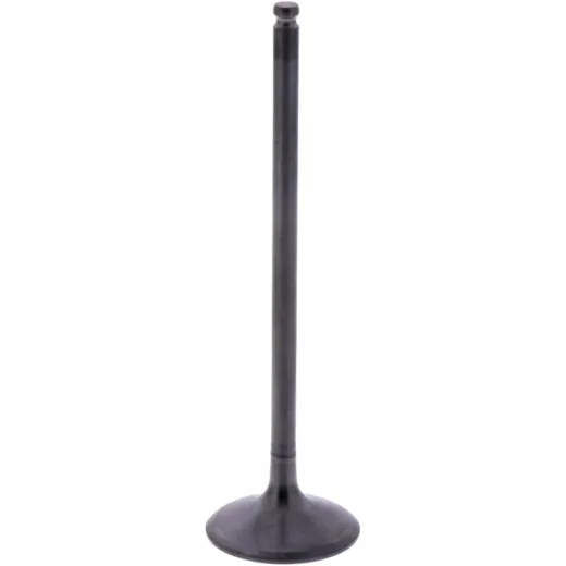 Intake valve (orig spare part) 1013155