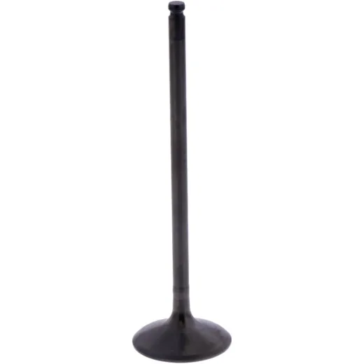 Intake valve (orig spare part) 1013165