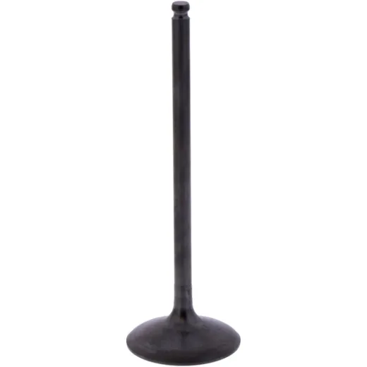 Intake valve (orig spare part) 1013166
