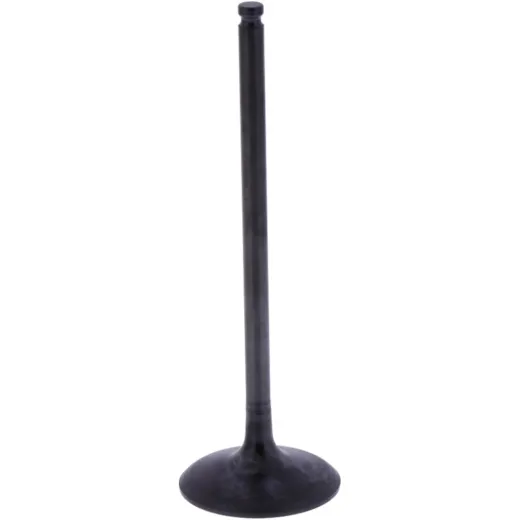 Intake valve (orig spare part) 1013167
