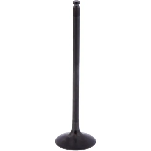Intake valve (orig spare part) 1013168
