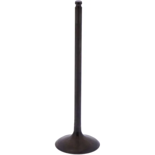 Intake valve (orig spare part) 1013169