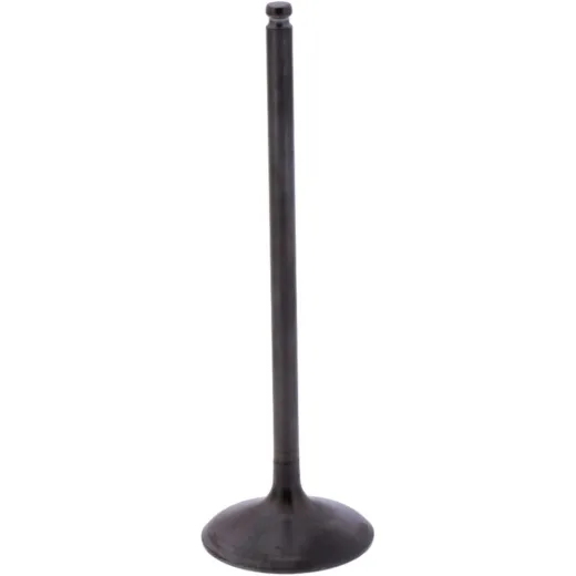 Intake valve (orig spare part) 1013170