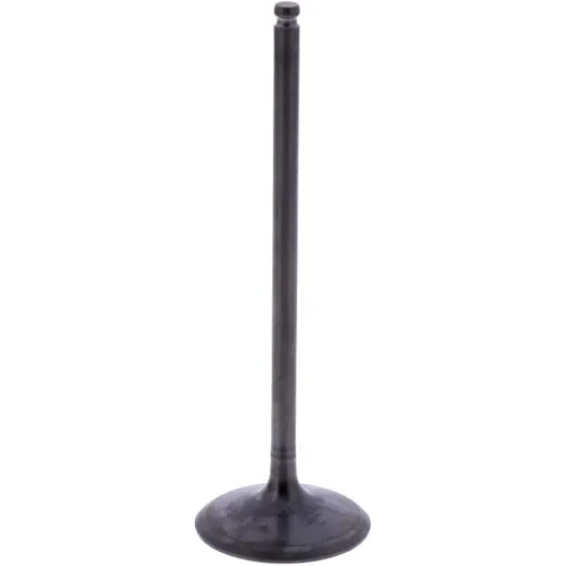 Intake valve (orig spare part) 1013173