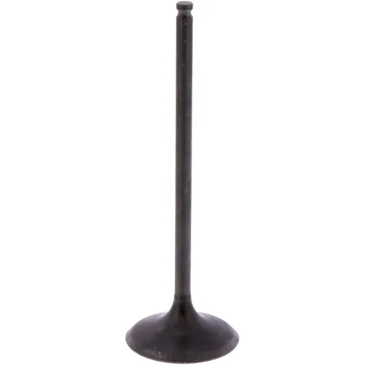 Intake valve (orig spare part) 1013176