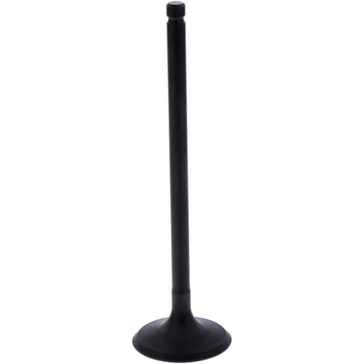 Intake valve (orig spare part) 1013177