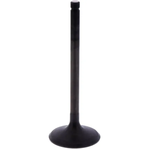 Intake valve (orig spare part) 1013178