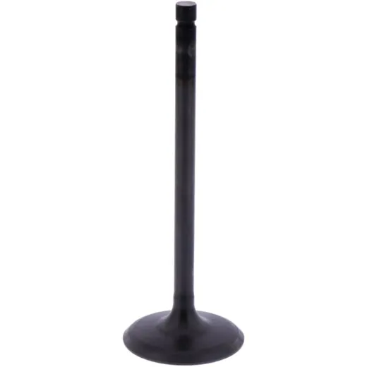 Intake valve (orig spare part) 1013180