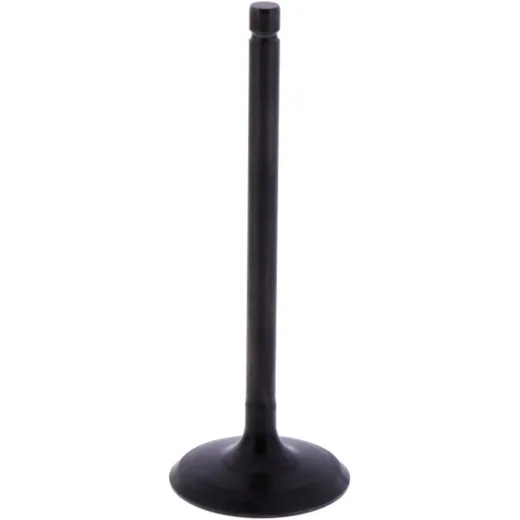 Intake valve (orig spare part) 1013183