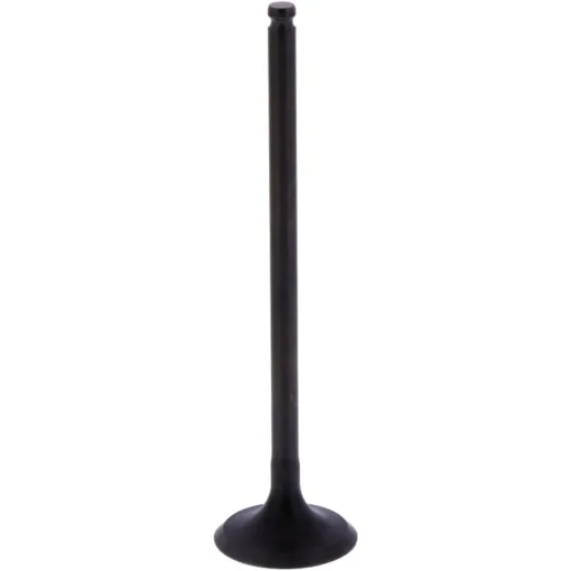 Intake valve 1 (orig spare part)