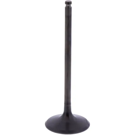 Intake valve (orig spare part) 1013190