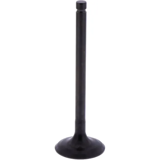 Intake valve (orig spare part) 1013193