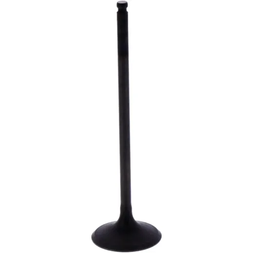 Intake valve (orig spare part) 1013197