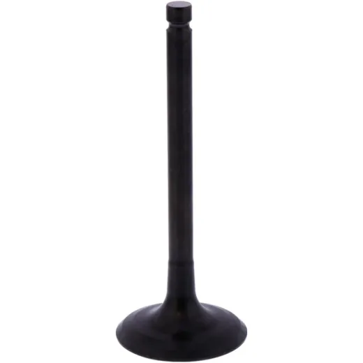 Intake valve (orig spare part) 1013199