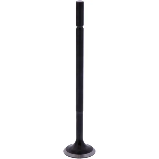 Intake valve 2 (orig spare part) 1013202