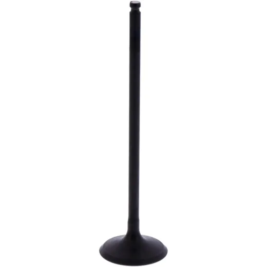 Intake valve (orig spare part) 1013203